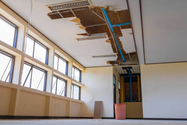 Best Water damage cleanup near me  in Westminster, SC