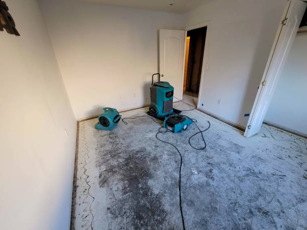 Best Water damage repair service  in Westminster, SC