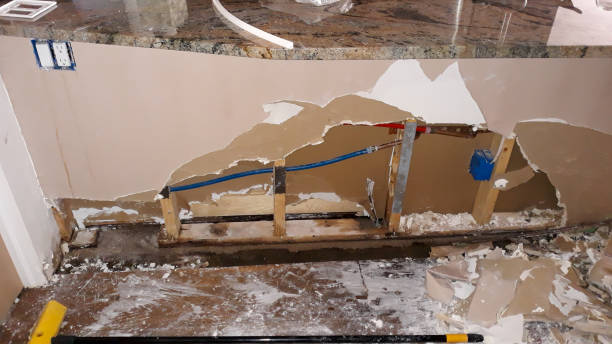 Best Local water damage restoration  in Westminster, SC