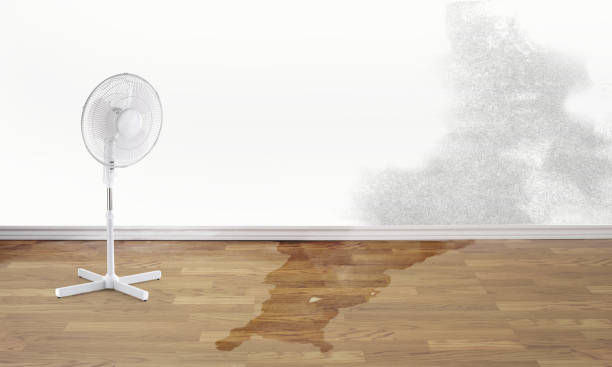 Best Fire Damage Restoration  in Westminster, SC