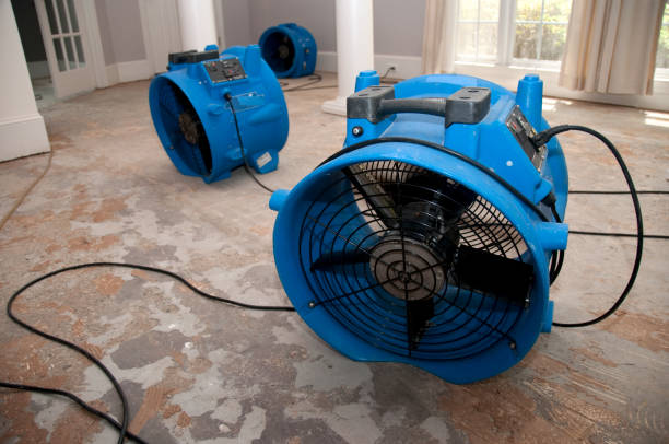 Best 24/7 water damage repair  in Westminster, SC