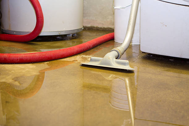 Best Water damage restoration near me  in Westminster, SC