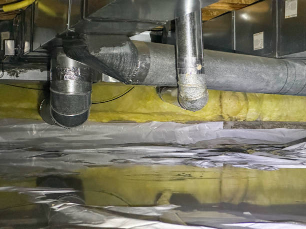 Best Carpet water damage restoration  in Westminster, SC