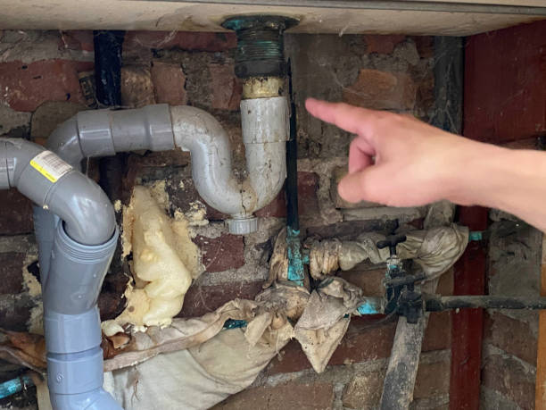 Best Commercial water damage restoration  in Westminster, SC